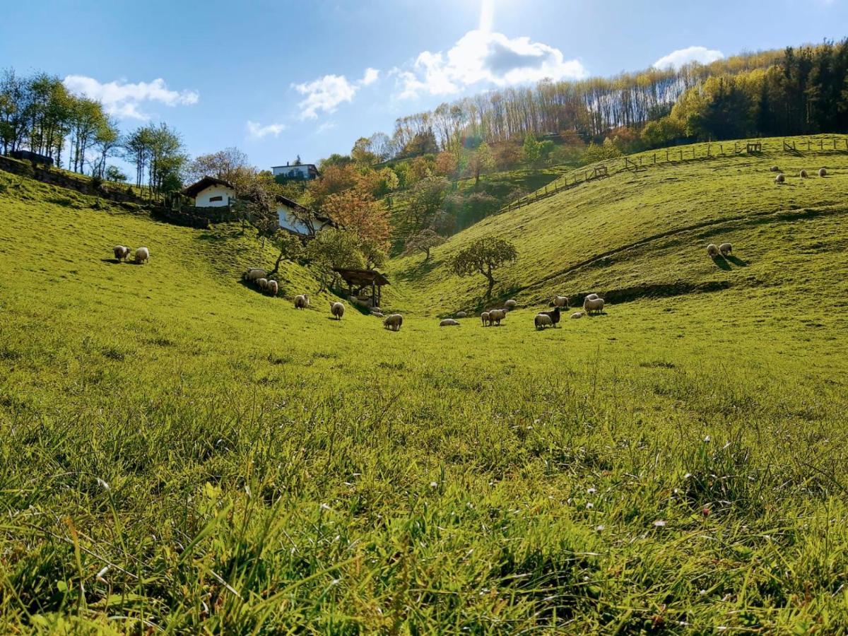 Argixti Guest House Sumbilla ภายนอก รูปภาพ